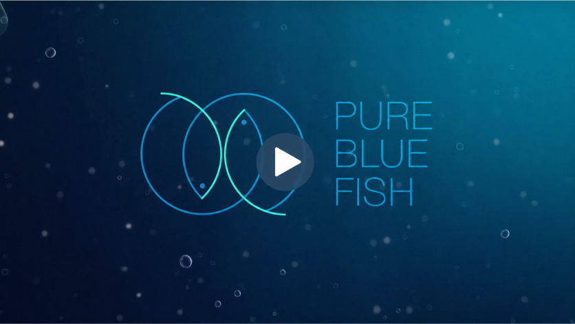 Pure Blue Fish | Dr. Phil